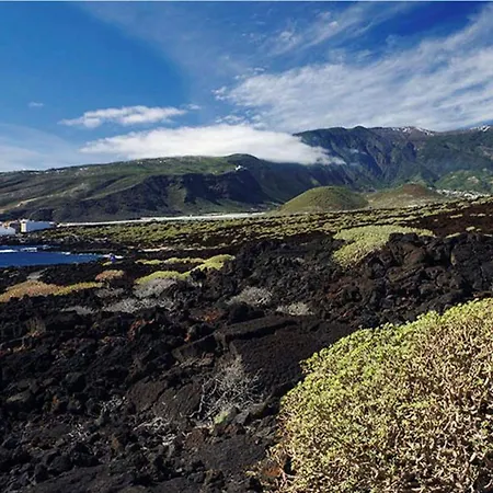 Live Puertito Muelle * Пуэртито-де-Гуимар