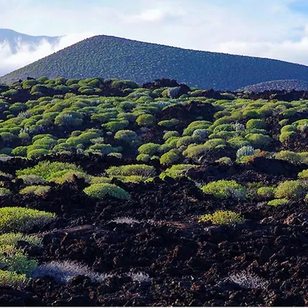 Апартаменты Live Puertito Muelle *