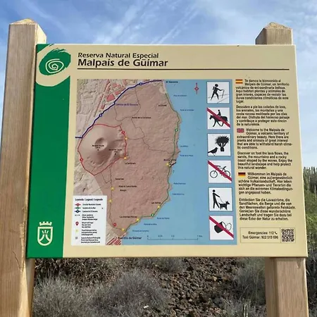 Live Puertito Muelle