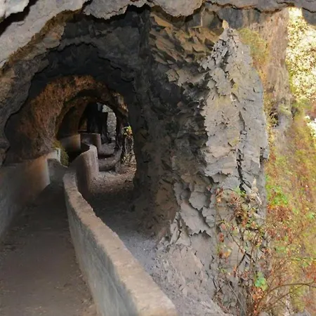 Live Puertito Muelle *