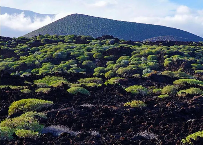 Daire Live Puertito Muelle Puertito de Guimar